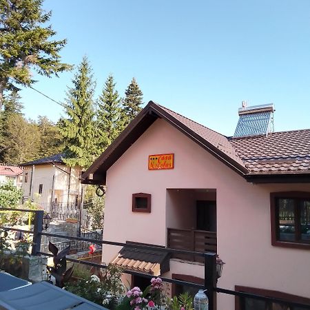 Casa Nicolas Buşteni Zewnętrze zdjęcie