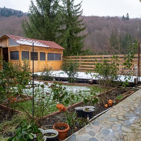 Casa Nicolas Buşteni Zewnętrze zdjęcie