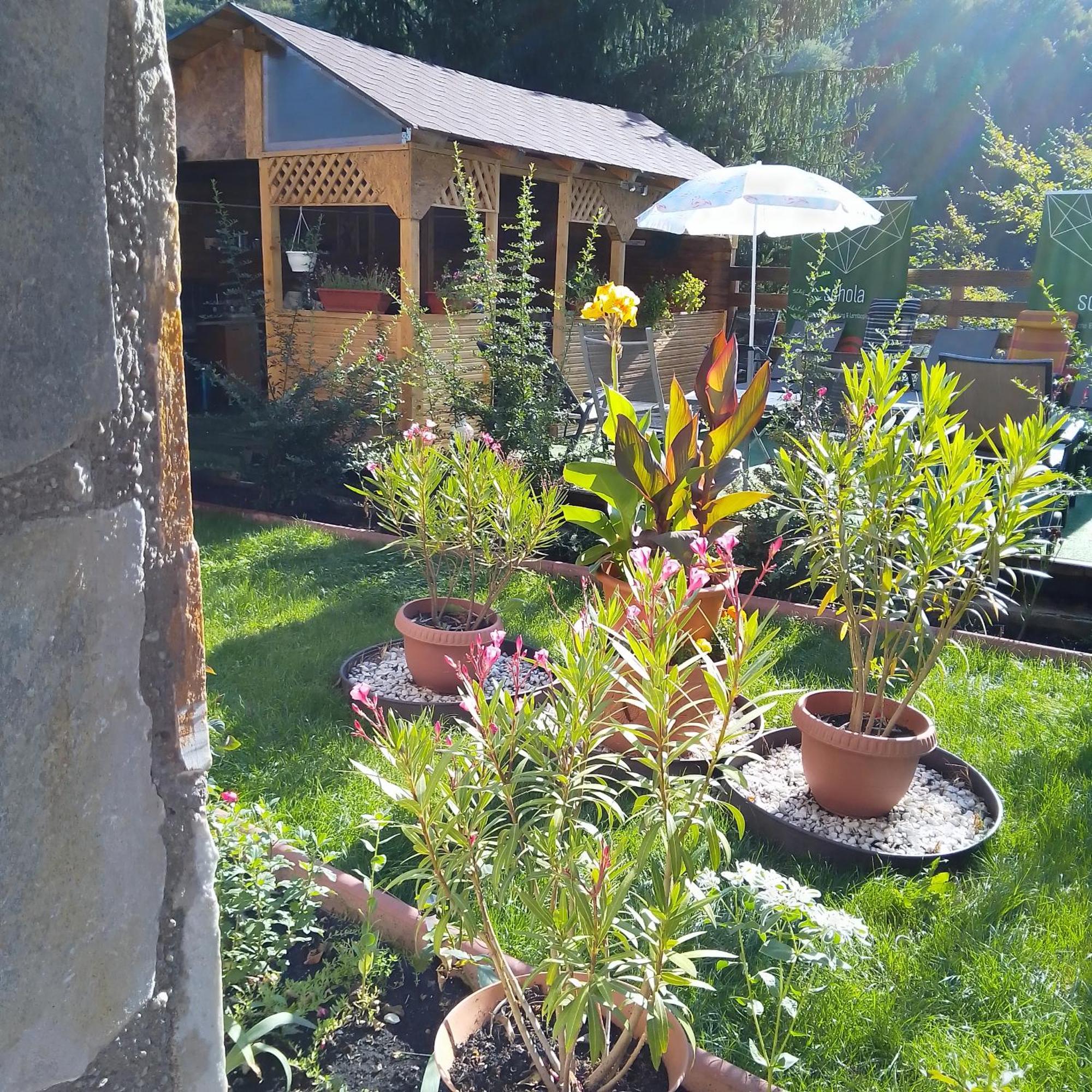 Casa Nicolas Buşteni Zewnętrze zdjęcie