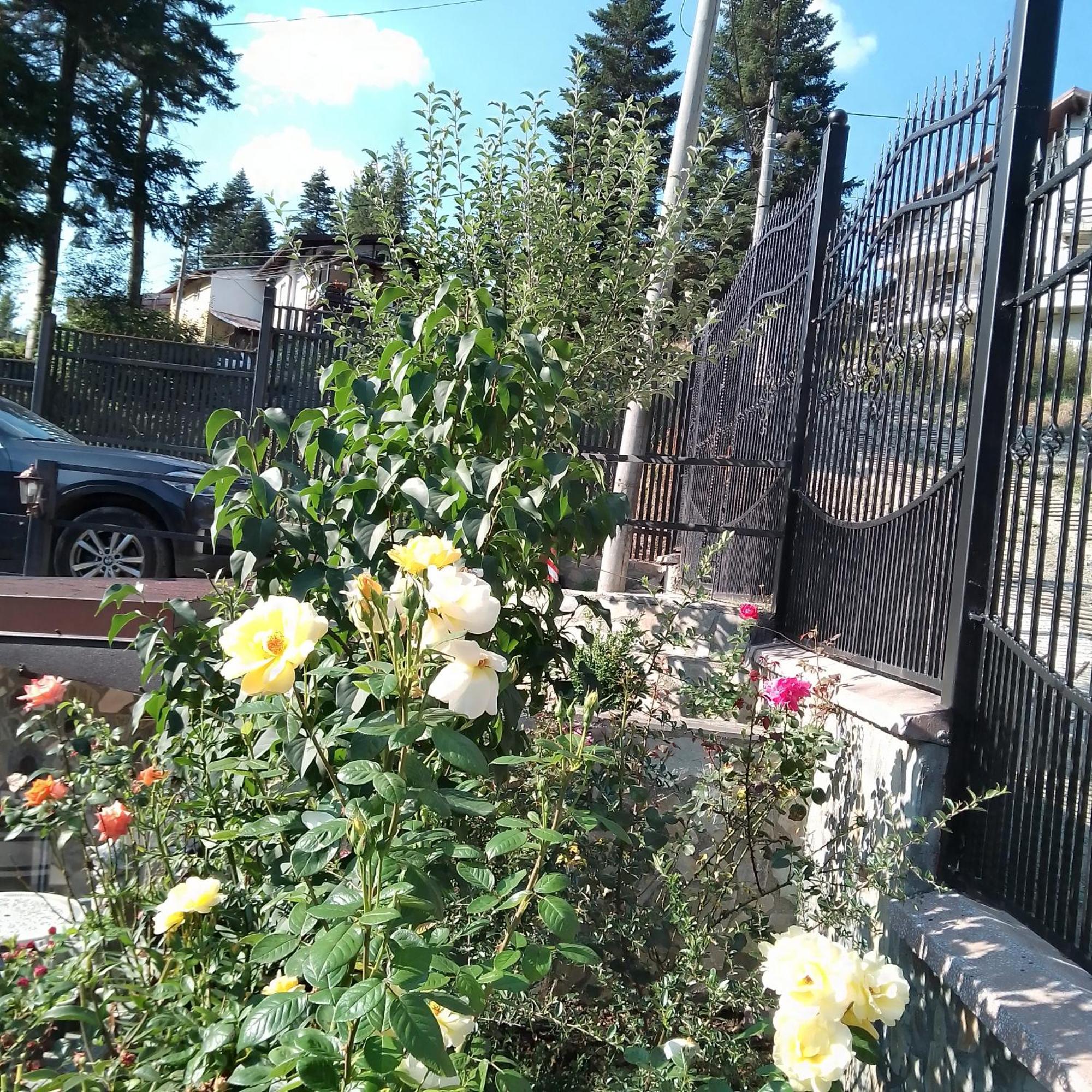 Casa Nicolas Buşteni Zewnętrze zdjęcie